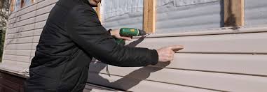 Best Aluminum Siding Installation  in North Branch, MI